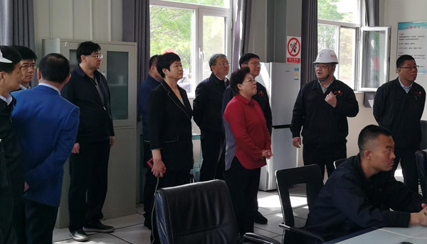 自治区副主席艾丽华到薄板厂CSP区域加热炉烟气余热回收综合利用项目调研